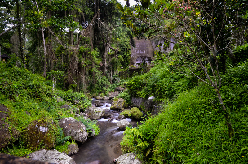 Bali-19.jpg