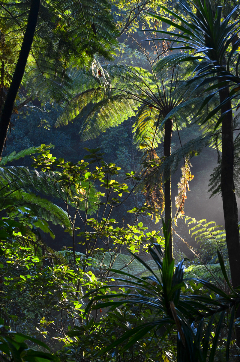 Bali-35.jpg