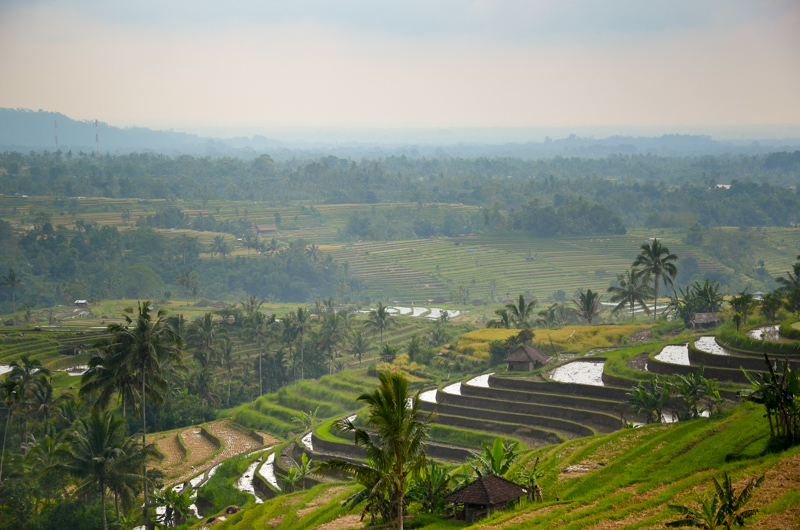 Bali-43.jpg