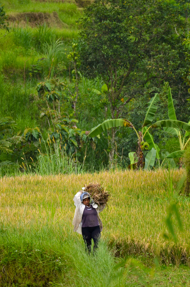 Bali-46.jpg