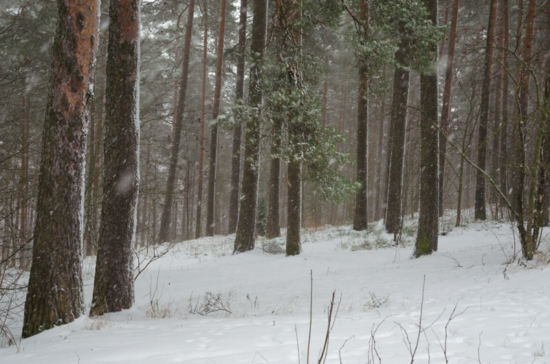 Finland-53.jpg