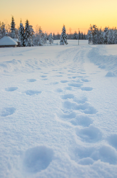 Finland-9.jpg
