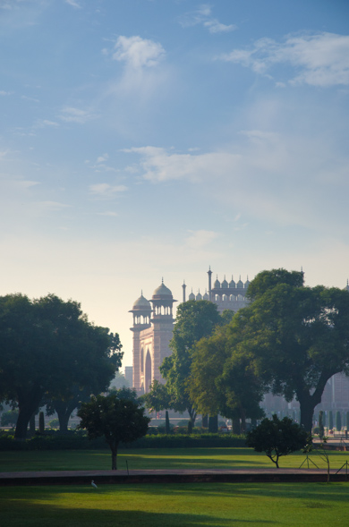 India-11.jpg