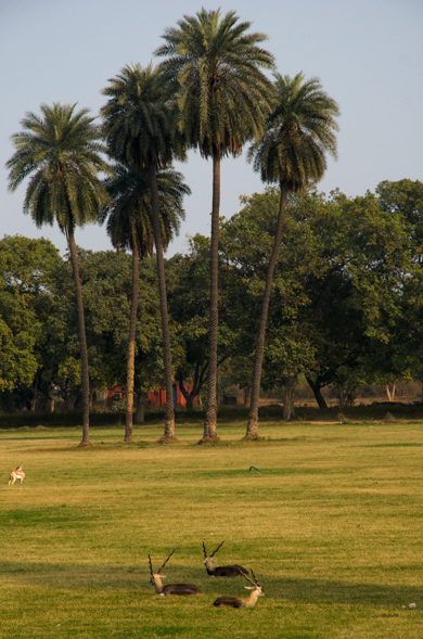 India-15.jpg