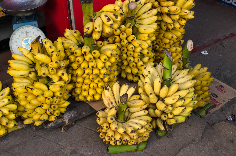 SriLanka-30.jpg
