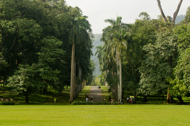 SriLanka-38.jpg