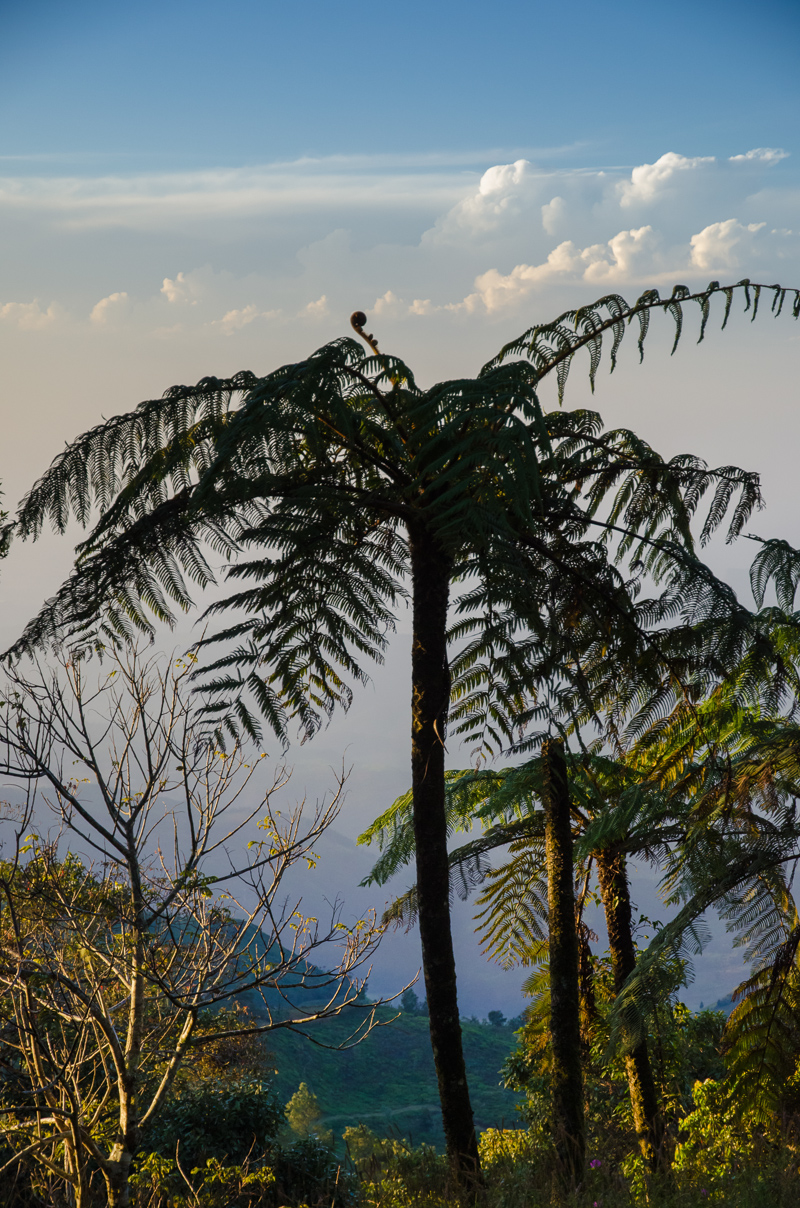 SriLanka-49.jpg