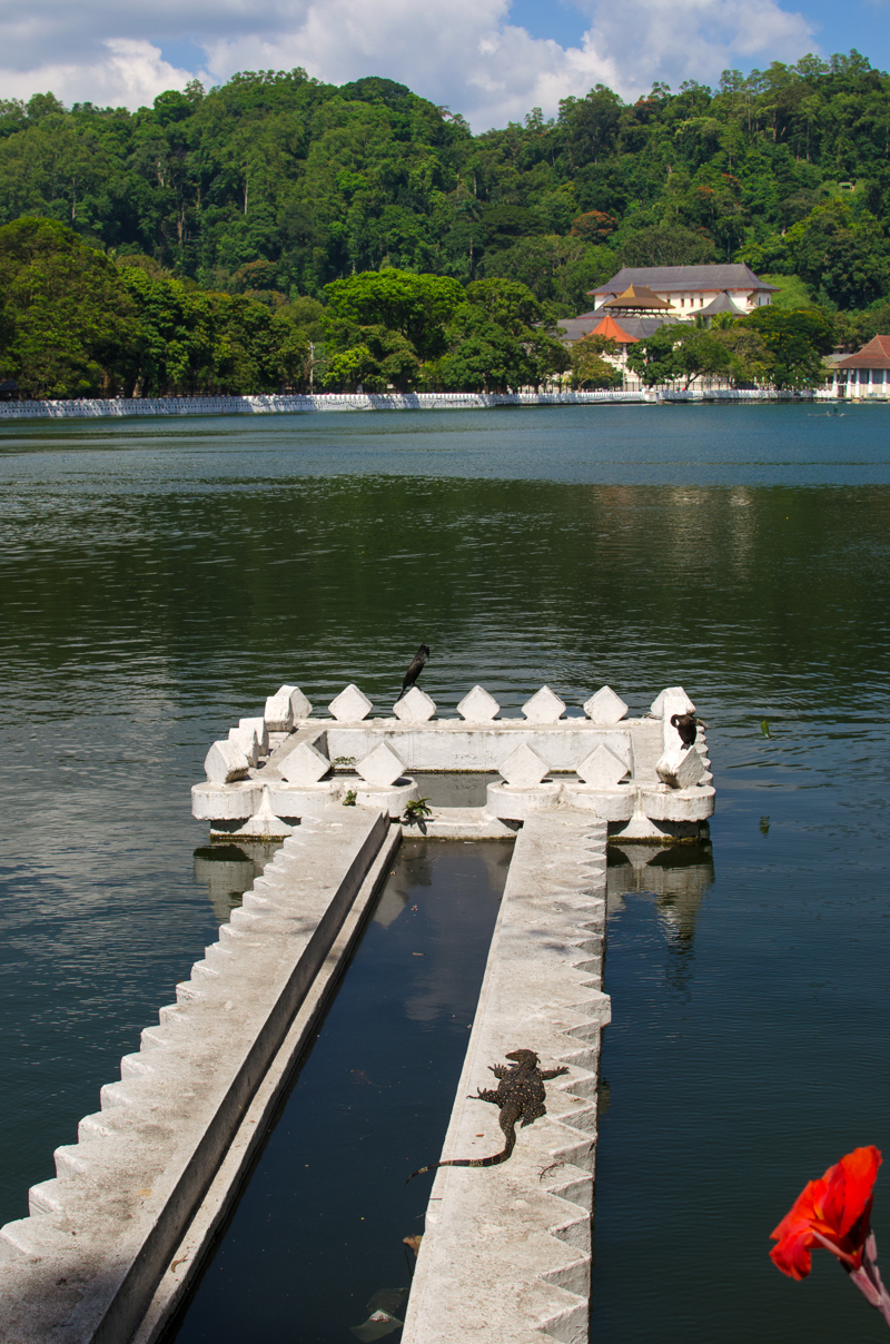 SriLanka-60.jpg