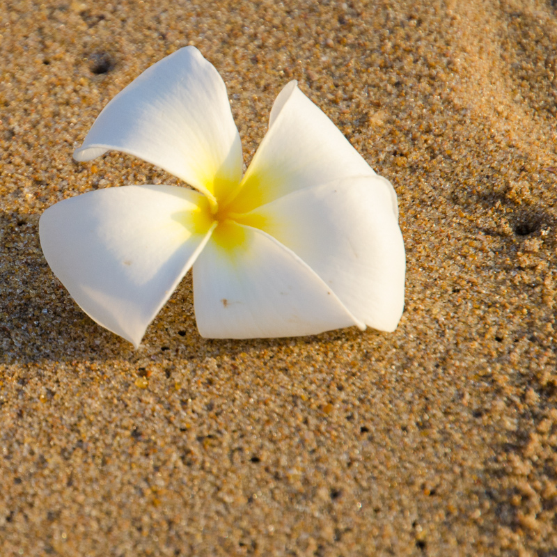 SriLanka-7.jpg