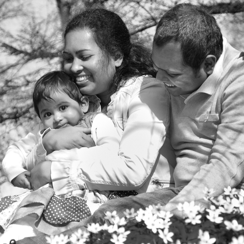 families-22.jpg
