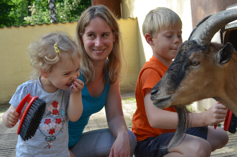 families-40.jpg