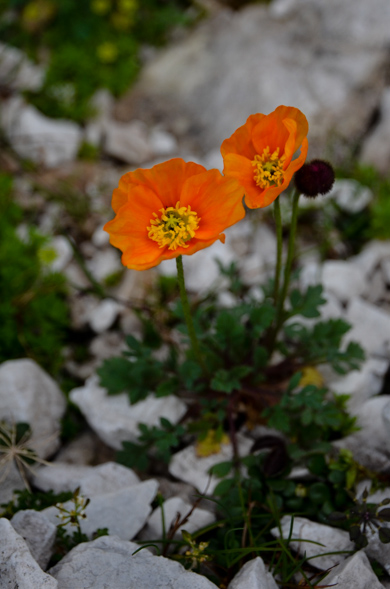gebirge-11.jpg