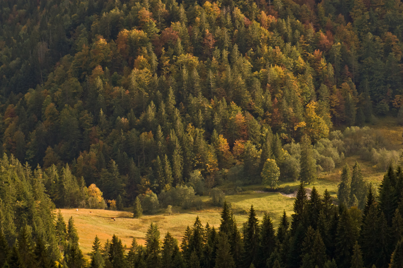 gebirge-26.jpg