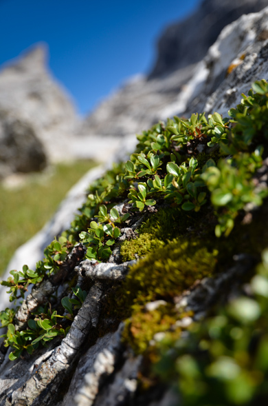 gebirge-5.jpg