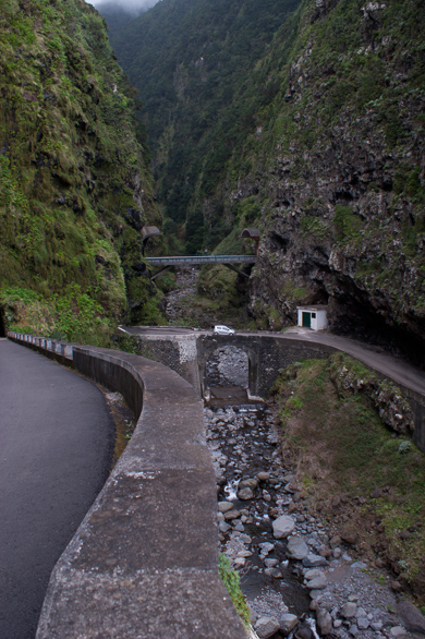 madeira-14.jpg