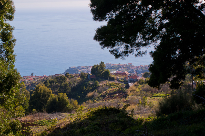 madeira-15.jpg