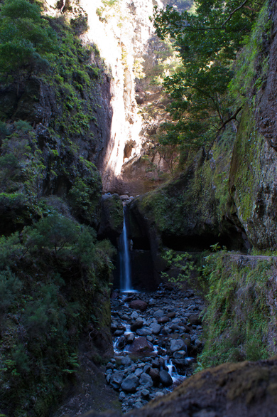 madeira-8.jpg